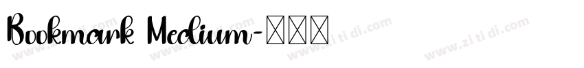 Bookmark Medium字体转换